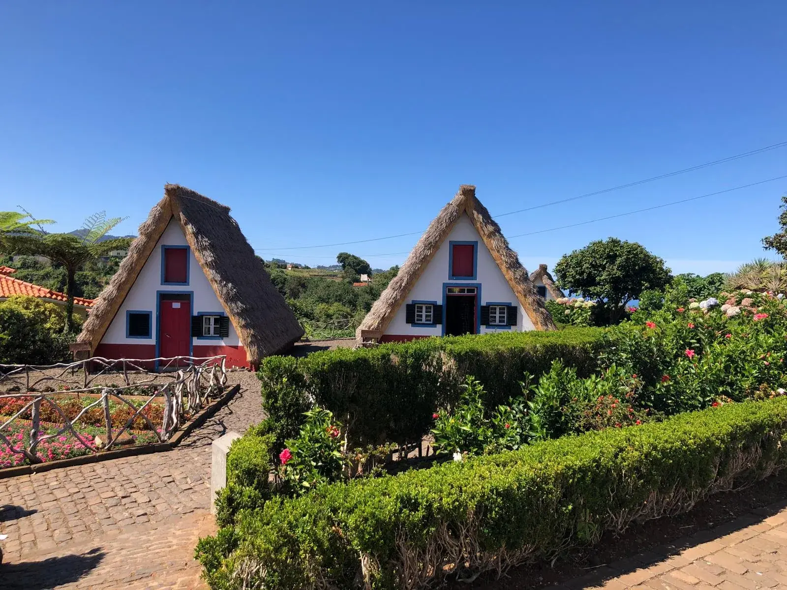 Traditional thatched houses and gardens in Santana