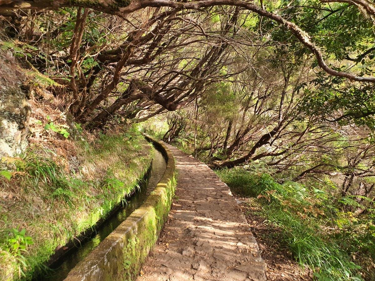25 Fontes Levada Transport - view 4
