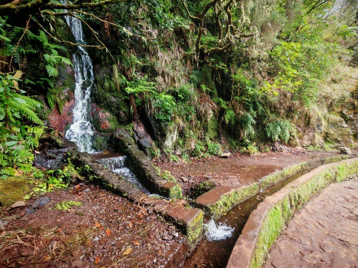 25 Fontes Levada Transport - view 5