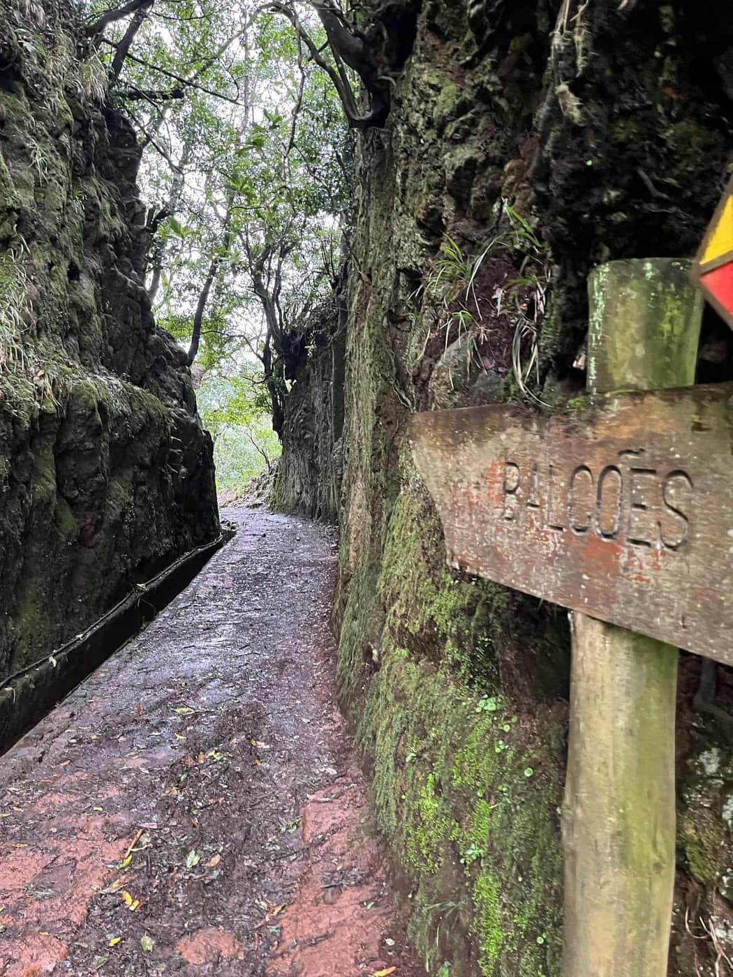 Balcões & Ribeiro Frio - Levada Trail in Madeira - view 3