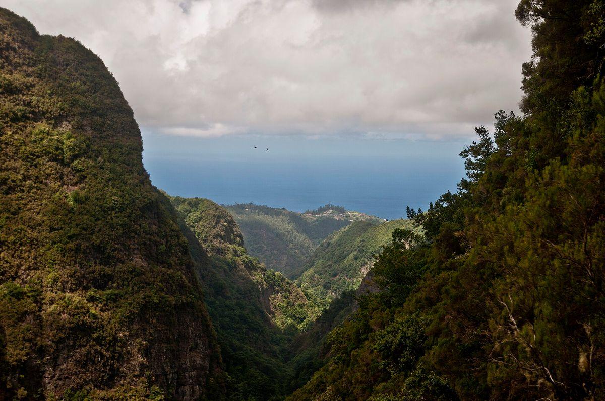 Caldeirão Verde - Levada Trail in Madeira - view 2