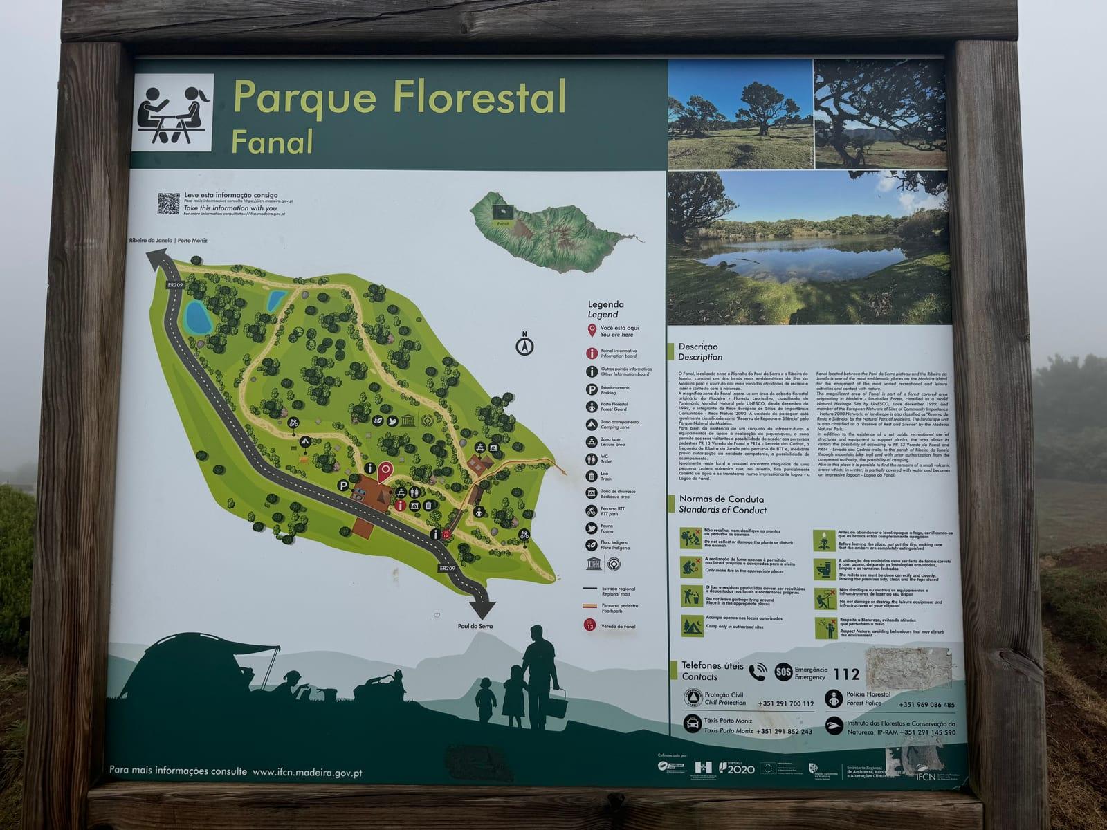 Fanal Forest - Levada Trail in Madeira - view 5