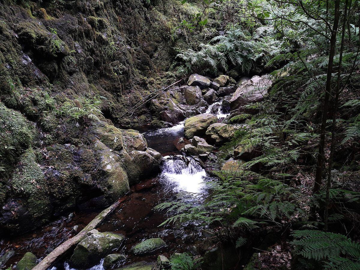 Levada do Rei - Levada Trail in Madeira - view 3
