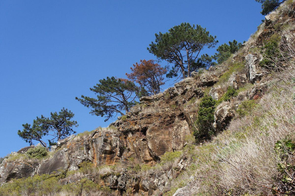 Paul do Mar - West Madeira in Madeira - view 2