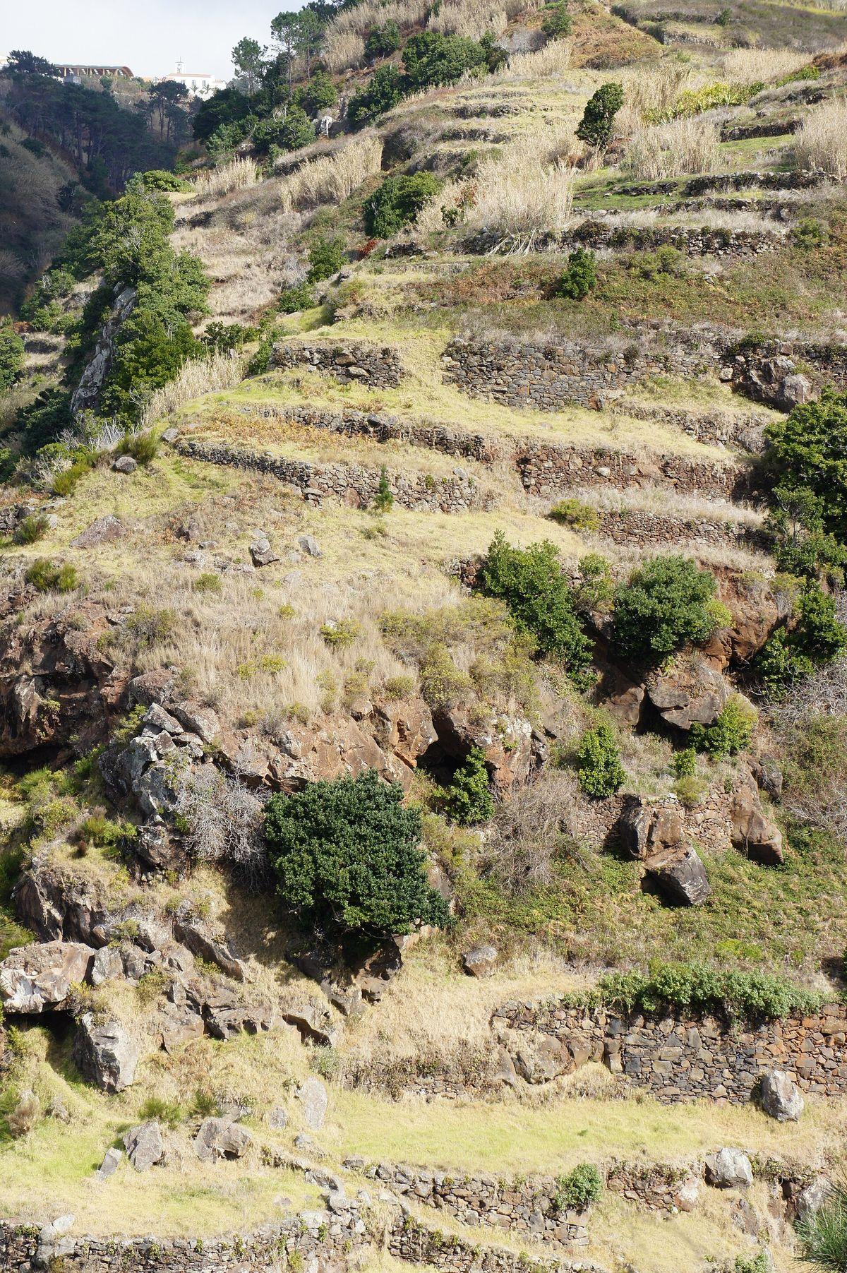 Paul do Mar - West Madeira in Madeira - view 3