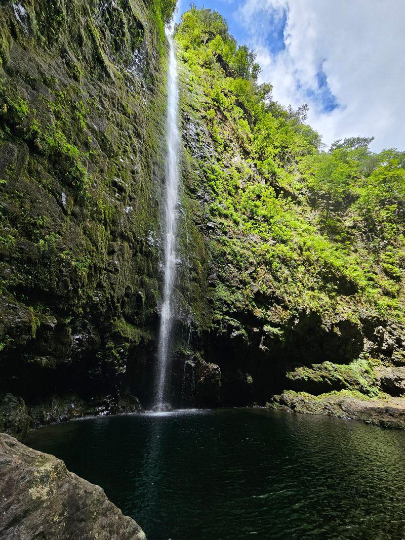 Caldeirao Verde Levada Transport - view 5