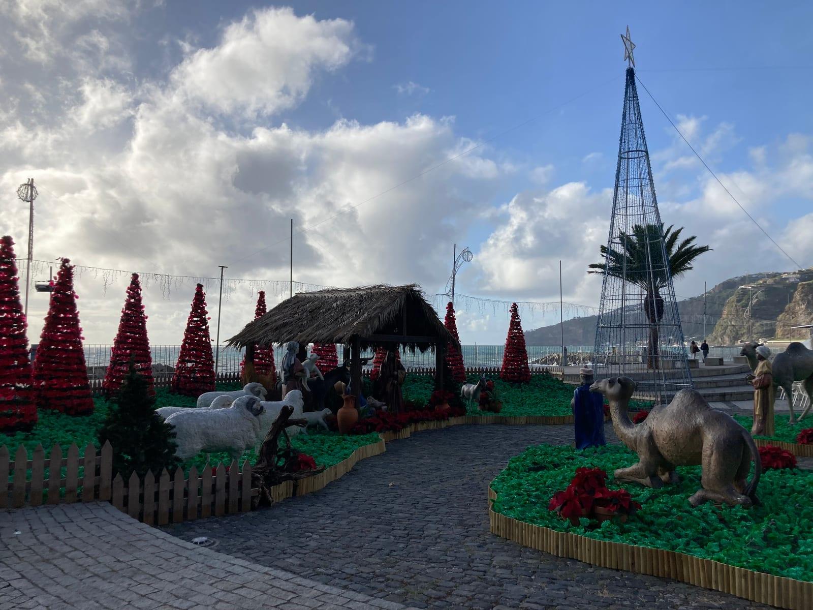 Ribeira Brava - West Madeira in Madeira - view 4