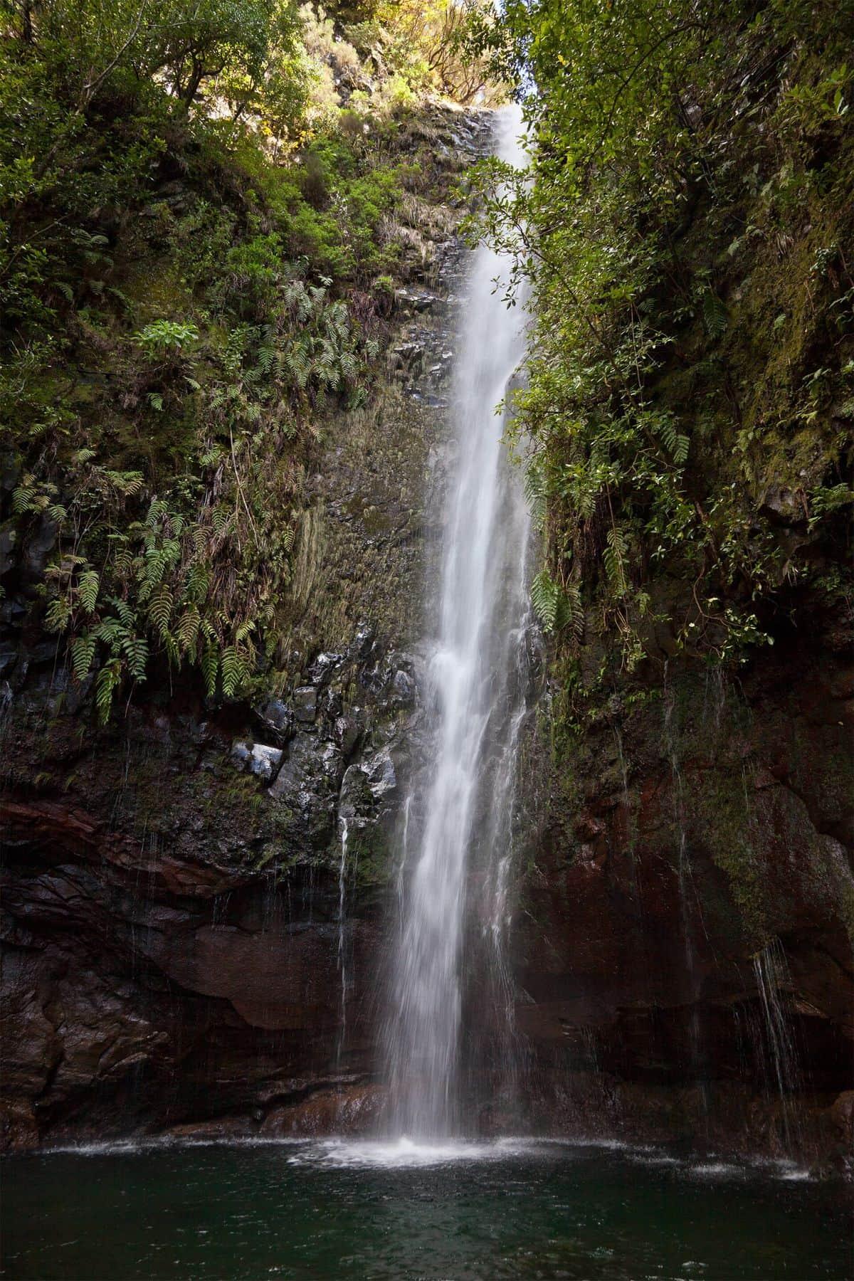 25 Fontes Levada Transport stop: Rabacal access road
