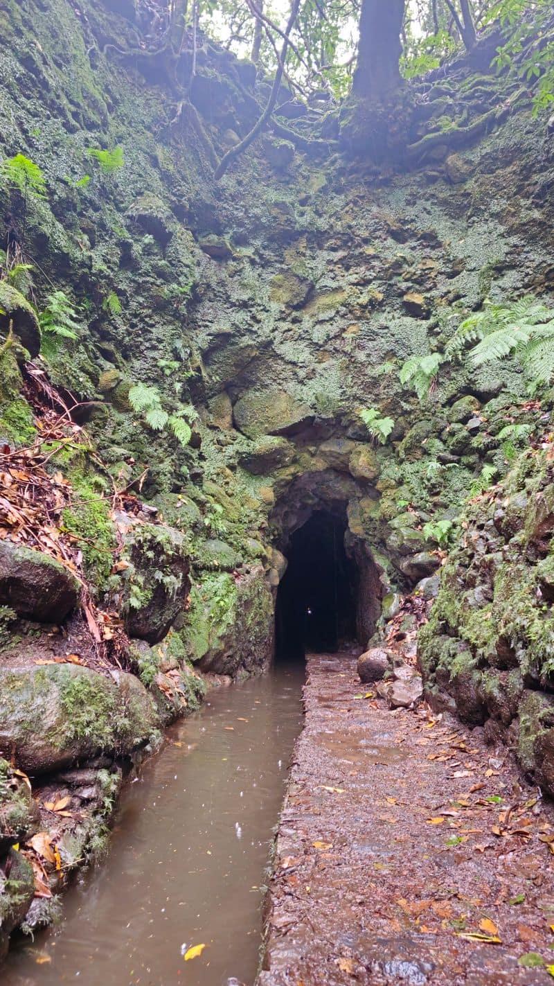 Caldeirao Verde Levada Transport stop: Queimadas trailhead drop-off